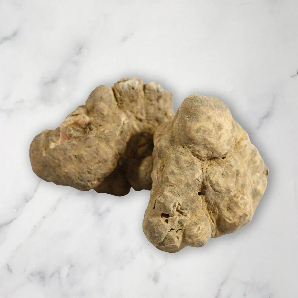 Alba White Truffle, (Magnatum Pico), Fresh - Image 3