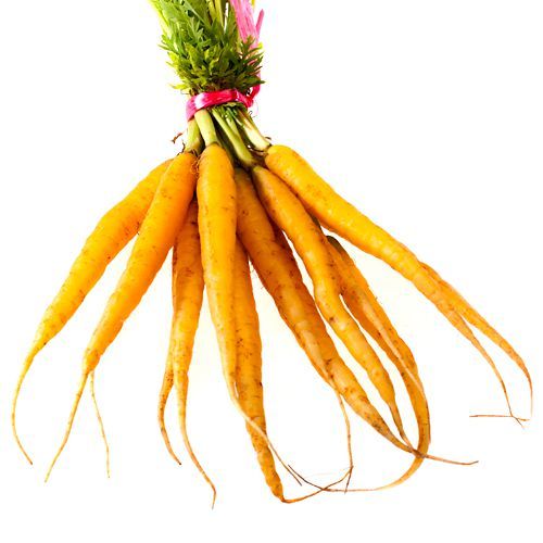 Baby Carrots, Yellow, x 3 Bunches - Image 2