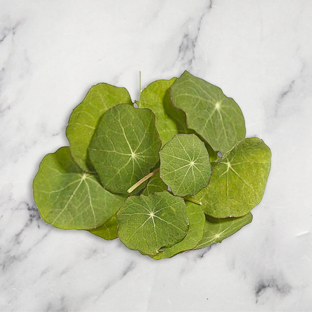Nasturtium Leaves, 20g - Image 2
