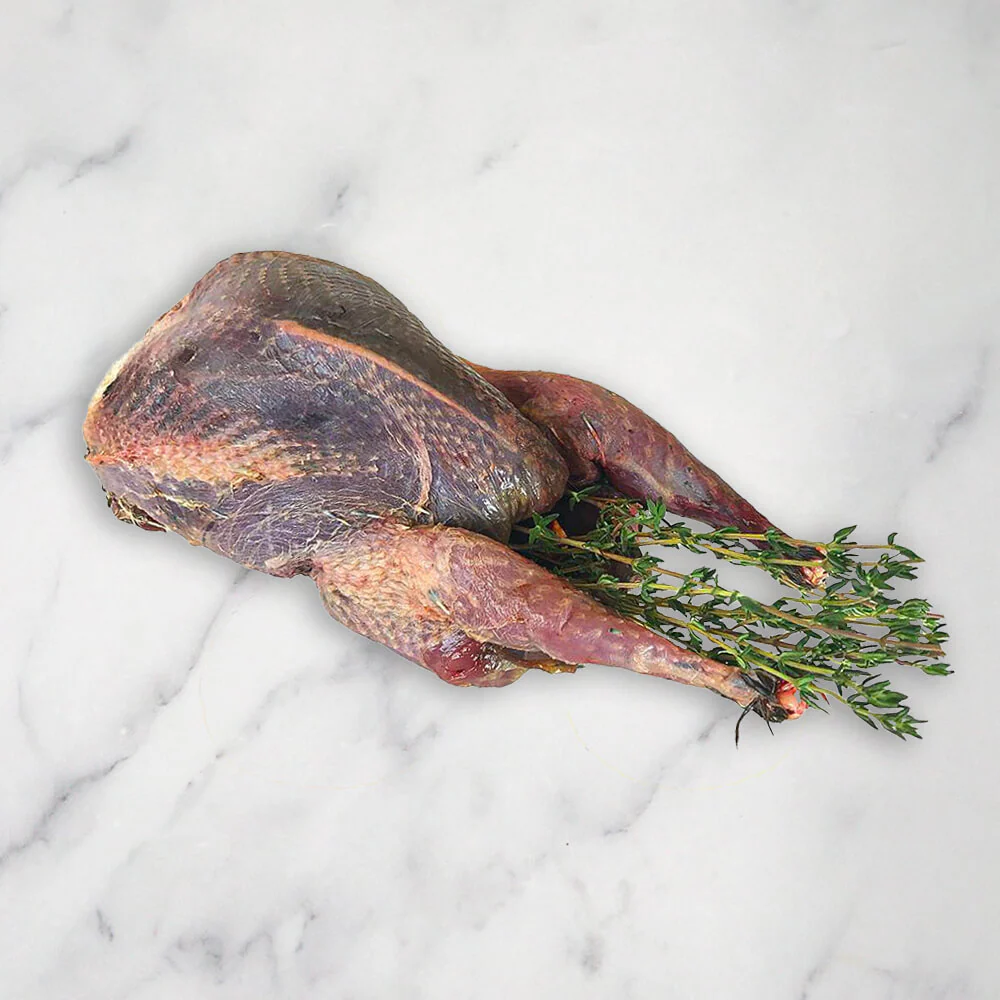 Wood Pigeon, Oven Ready, x 4