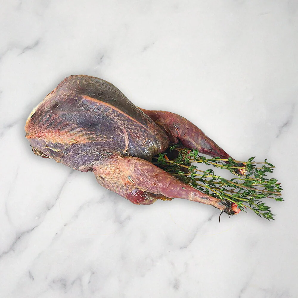 Wood Pigeon, Oven Ready, x 4 - Image 2