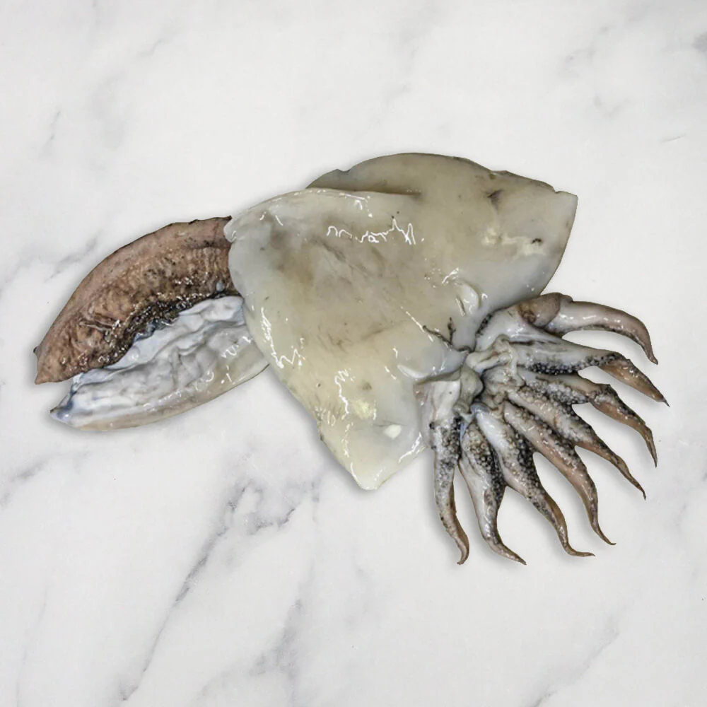 Cuttlefish, Fresh, Gross Weight +/-1kg, Net Weight +/-600g - Image 2