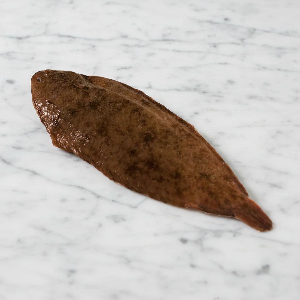 Whole Dover Sole, Fresh, 2 x 500/600g