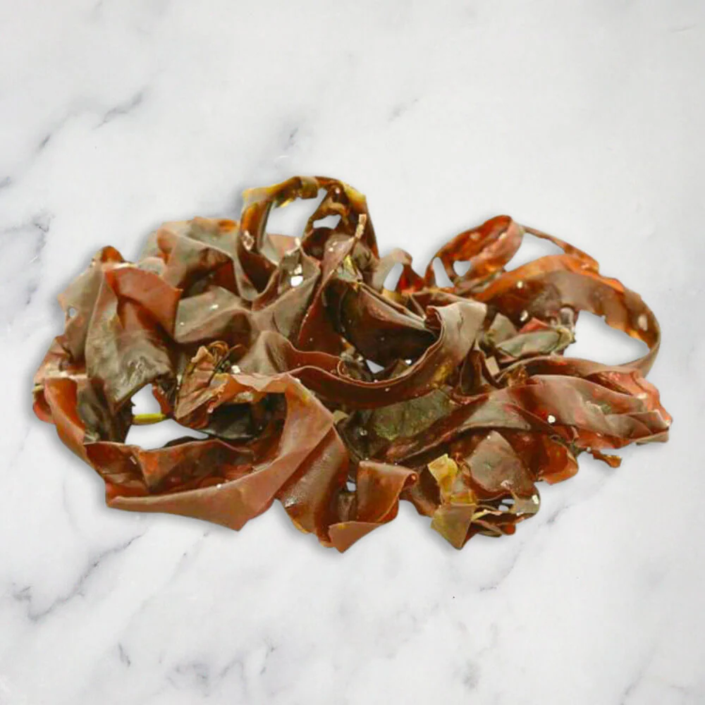Dulse Seaweed, Fresh, 1kg - Image 2