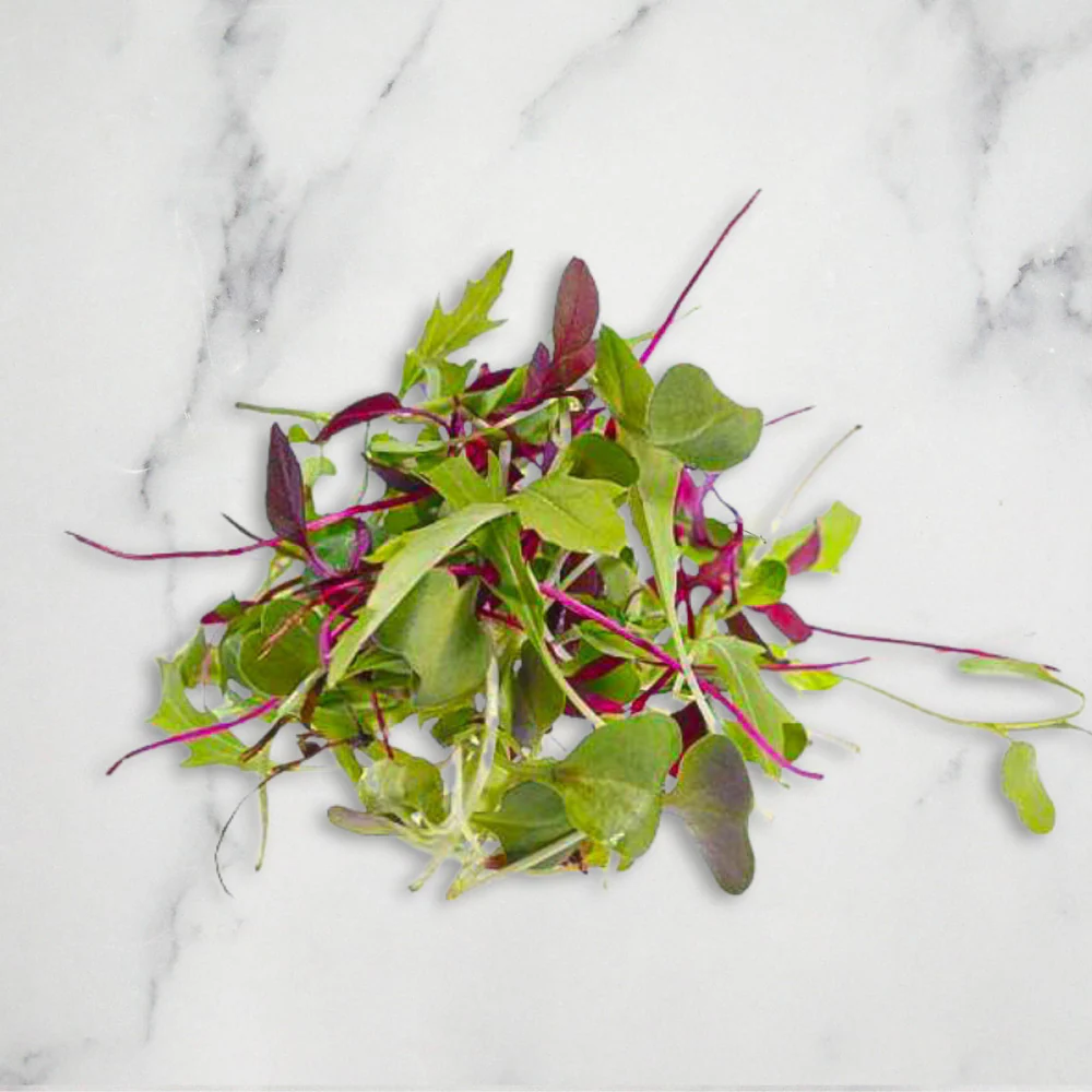 Micro Mix Leaf Salad, 30g
