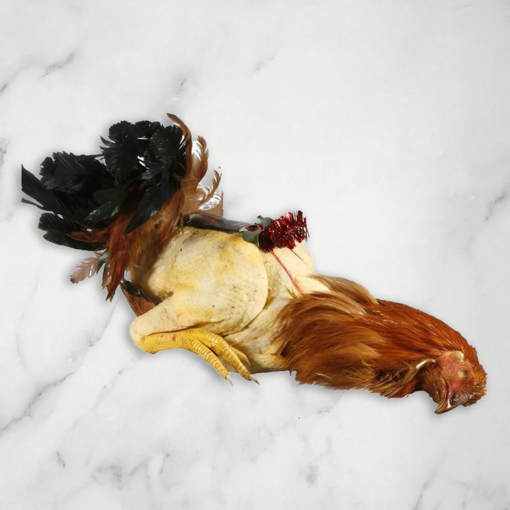 150 Day Free Range Basque Capon, Frozen (+/-3.5kg - 3.8kg)