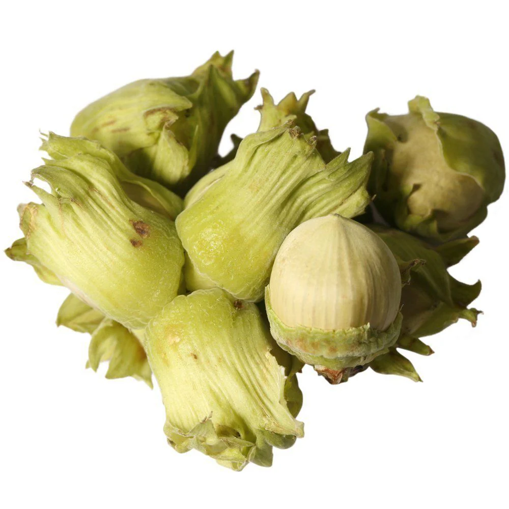 Fresh Cobnuts, 1kg