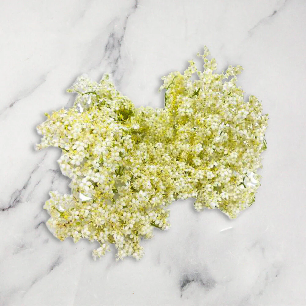 Fresh Elderflower, 100g
