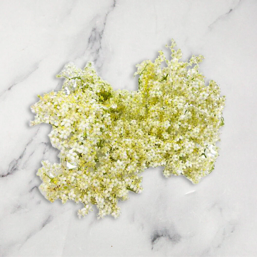 Fresh Elderflower, 100g - Image 2