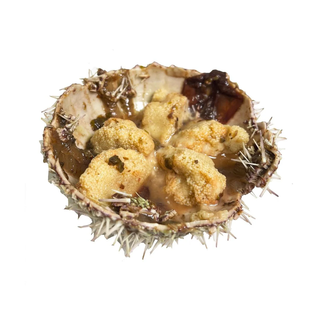 Fresh Sea Urchins, 3kg - Image 3