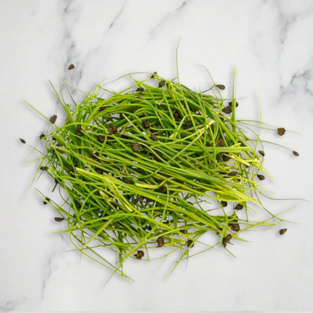 Garlic Chives Micro Herb, 30g