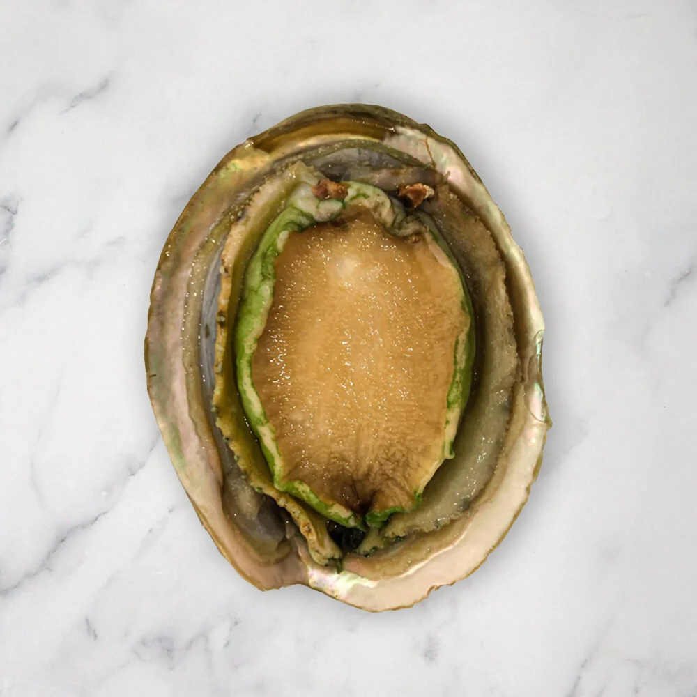 Large Abalone, Frozen, (+/-11cm), 1 Shell, +/-200g