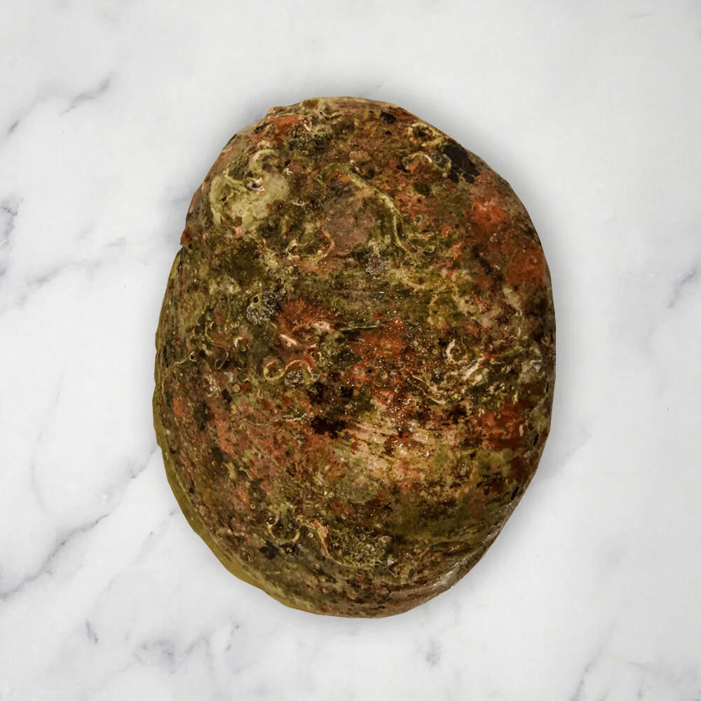 Large Abalone, Frozen, (+/-11cm), 1 Shell, +/-200g - Image 2
