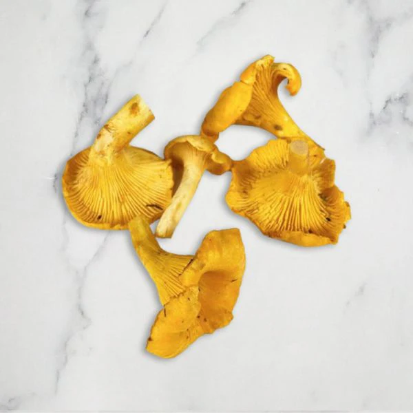 Girolle Mushrooms, Fresh - Image 3