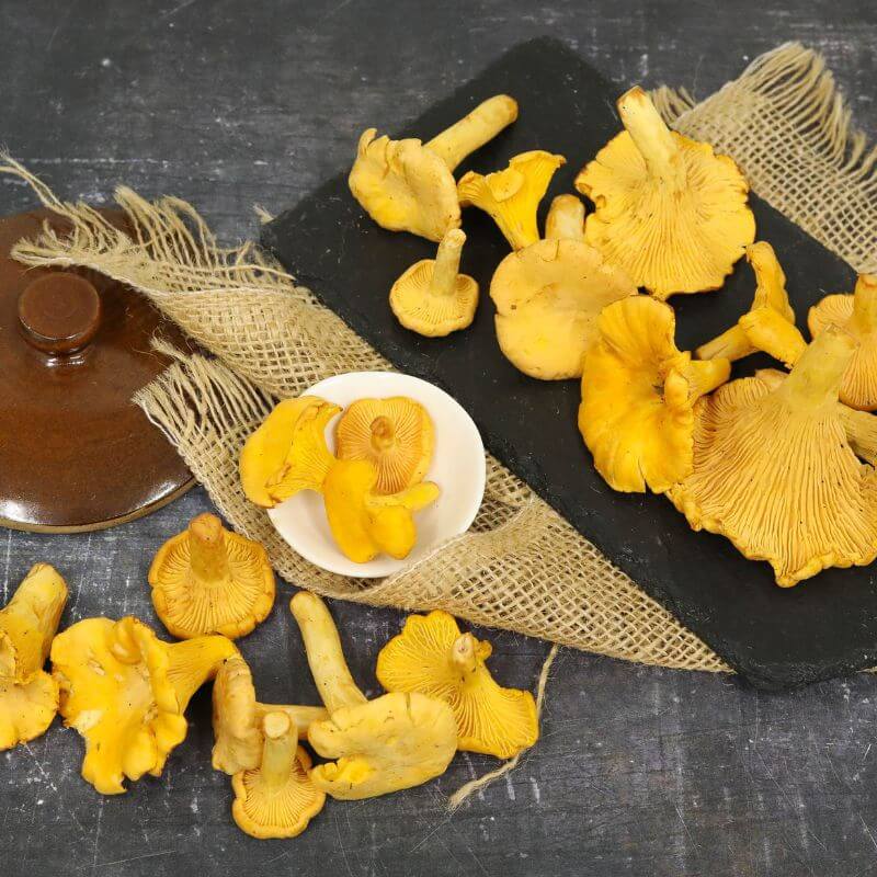 Girolle Mushrooms, Fresh - Image 4