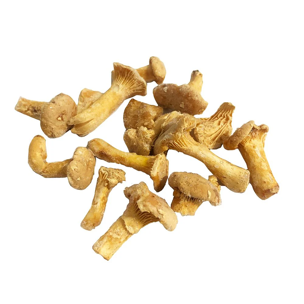 Girolle Mushrooms, Frozen, 1kg - Image 3