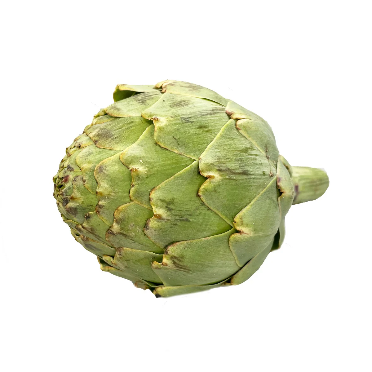 Globe Artichokes, 3 x Head - Image 2