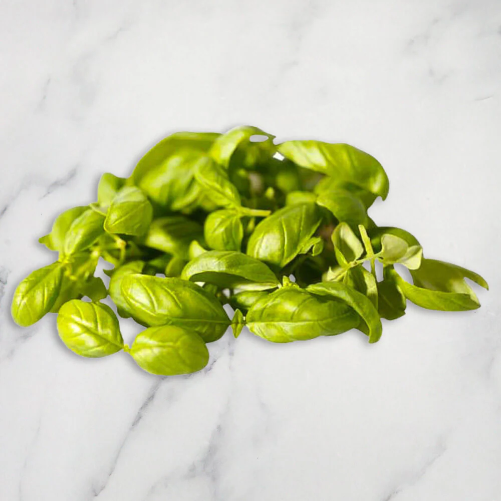 Green Basil Micro Herb, 30g