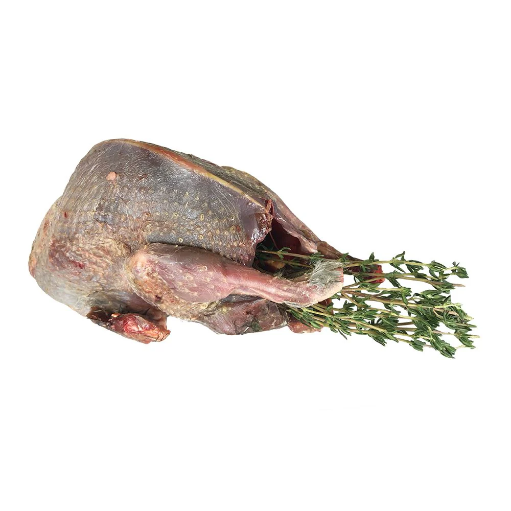 Tender Young Grouse, Oven-Ready, Fresh x 2 - Image 3