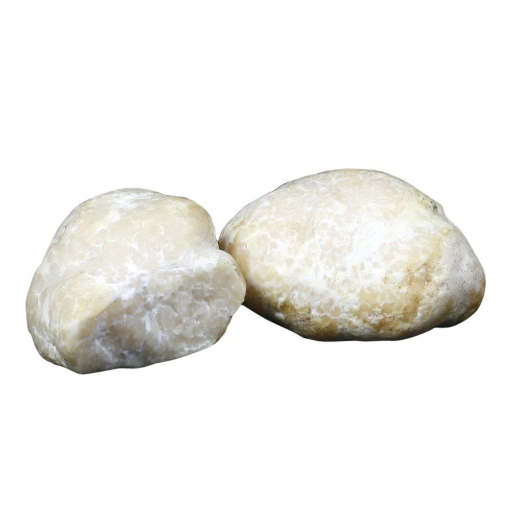 Honey Truffle, Fresh - Image 2