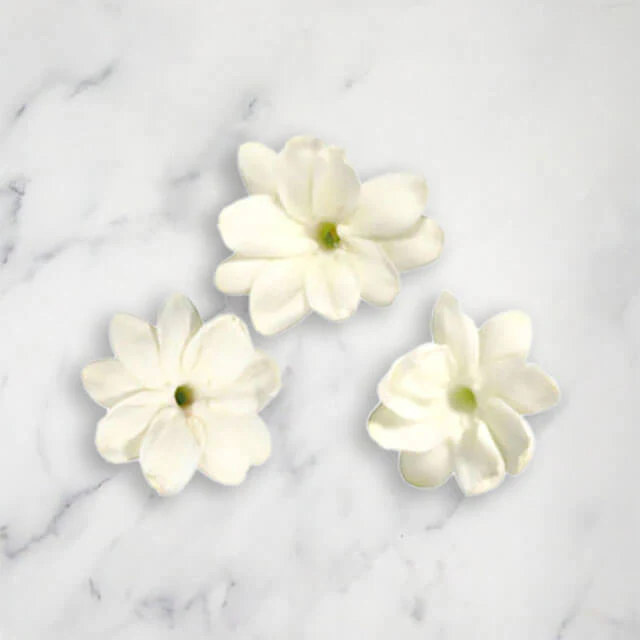 Jasmine Blossom, 50 Pieces