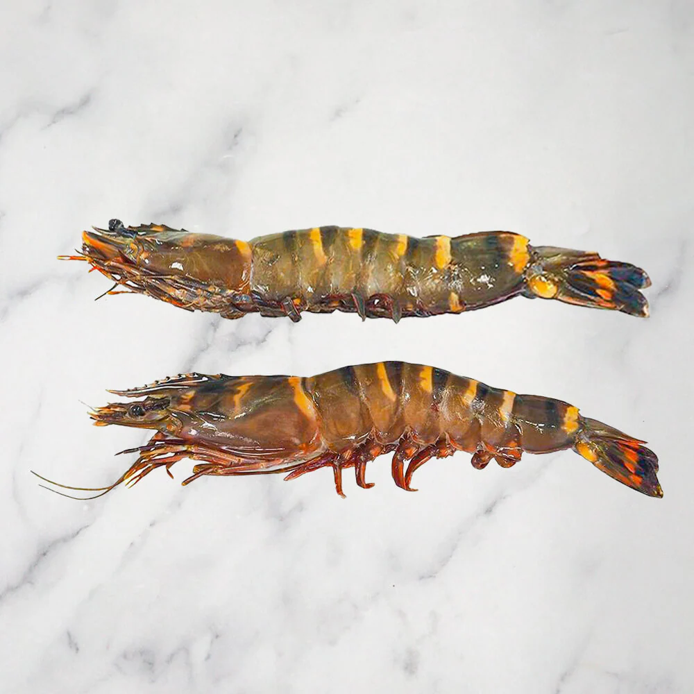 Jumbo Tiger Prawns, Frozen, 1kg, (4-6 prawns) - Image 2