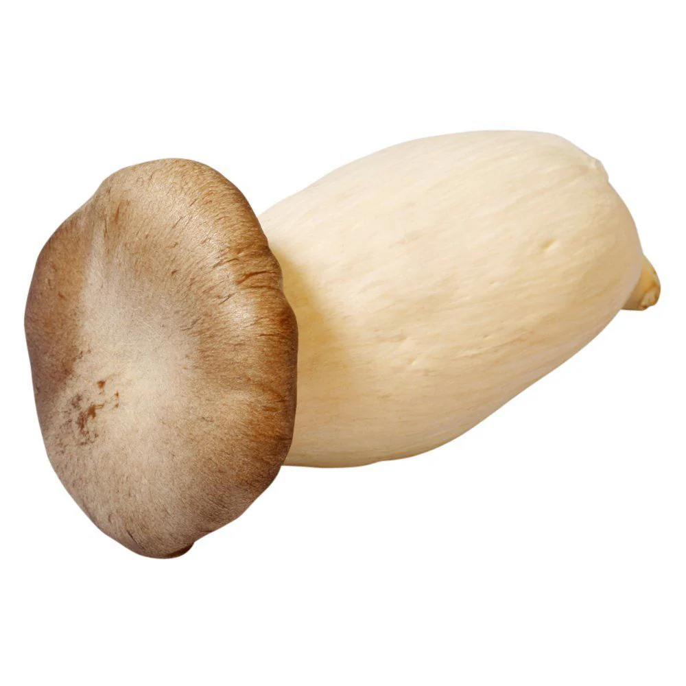 King Oyster Mushrooms, Fresh, 500g - Image 2
