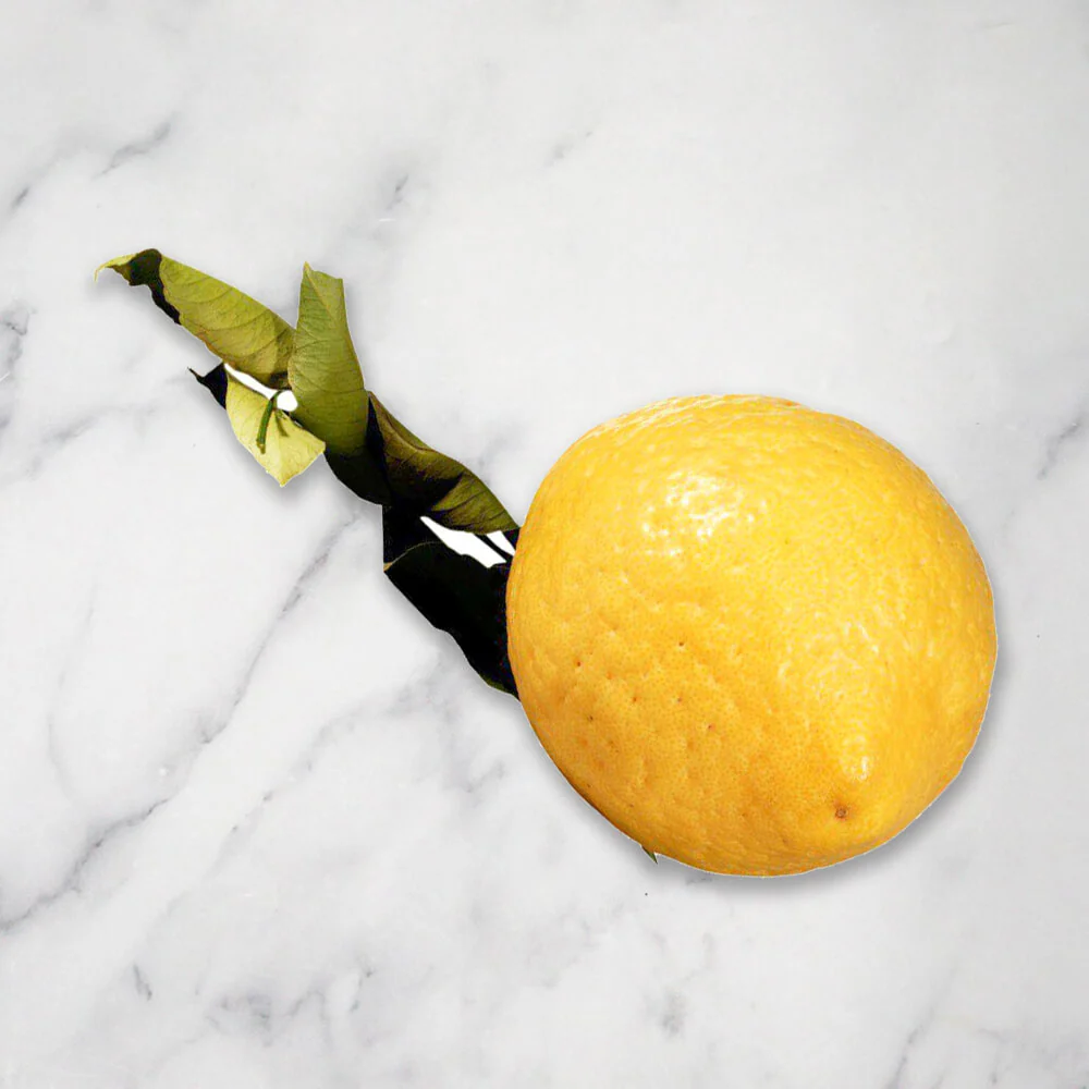 Giant Cedro Lemons, +/-700g (1-2 pieces) - Image 2