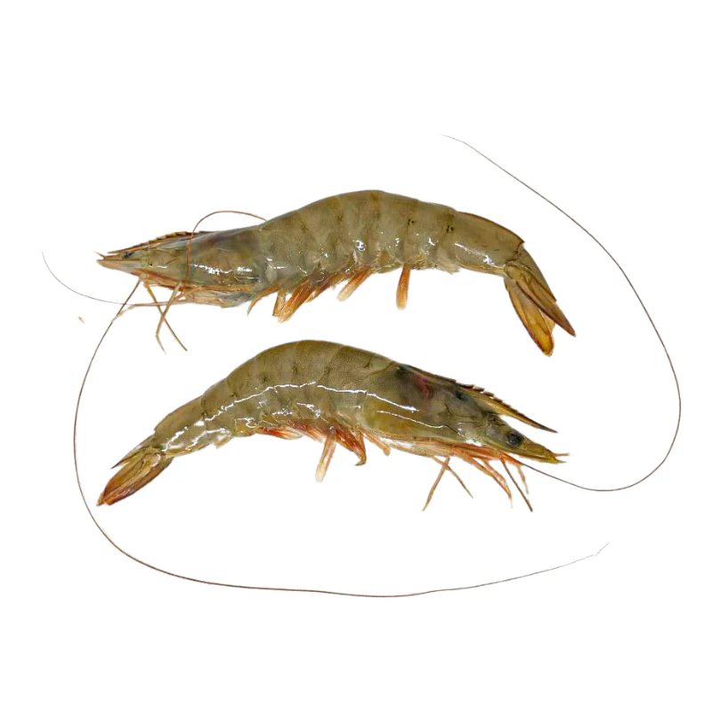 Tiger Prawns, Fresh, 2kg (20/30 per kg) - Image 2