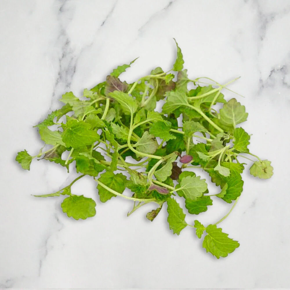 Lemon Balm Micro, 30g