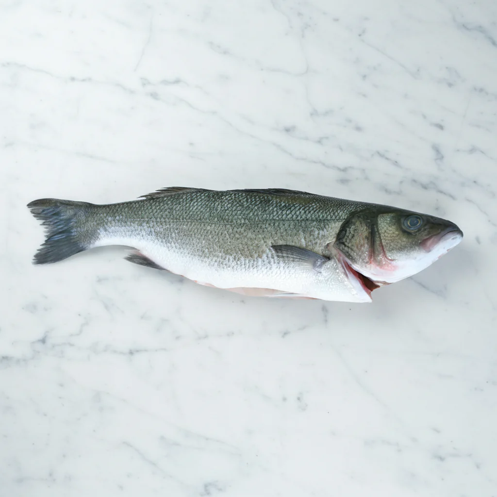 Sea Bass, Fresh, 2-3kg