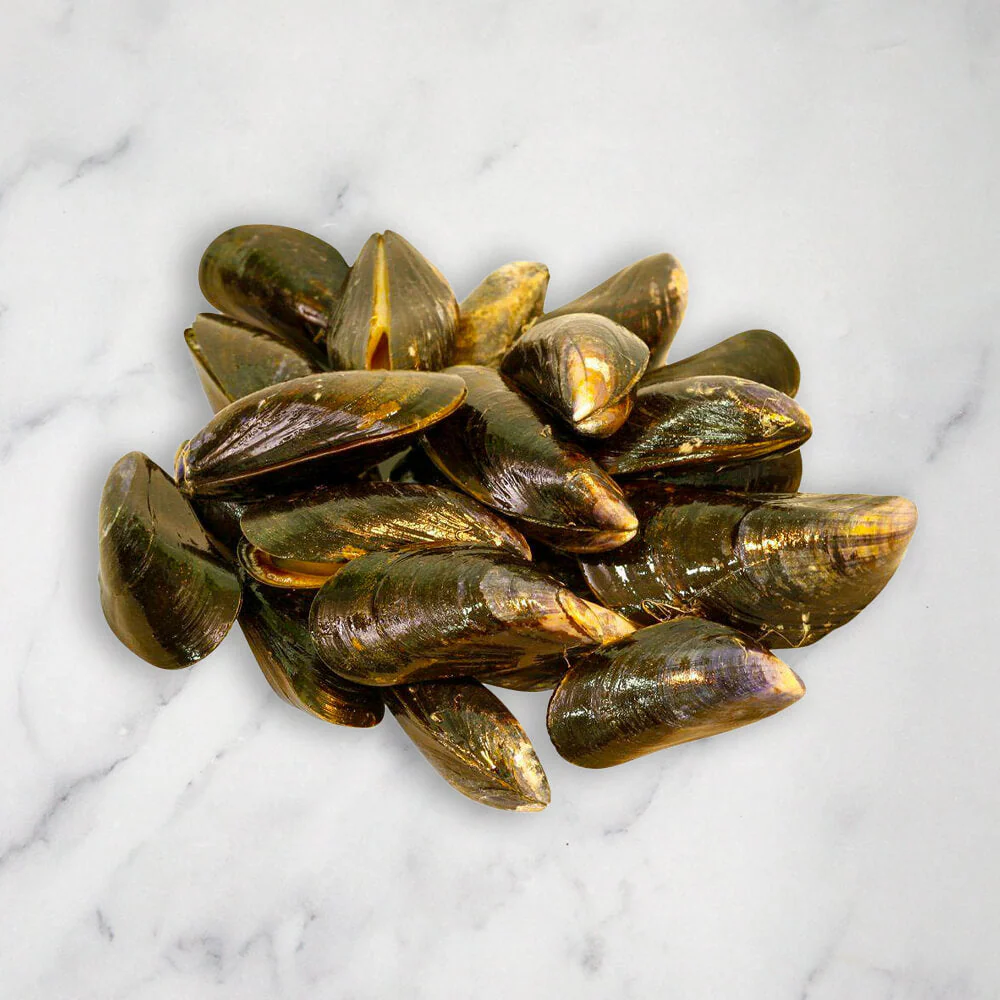 Live Mussels, 2kg - Image 2