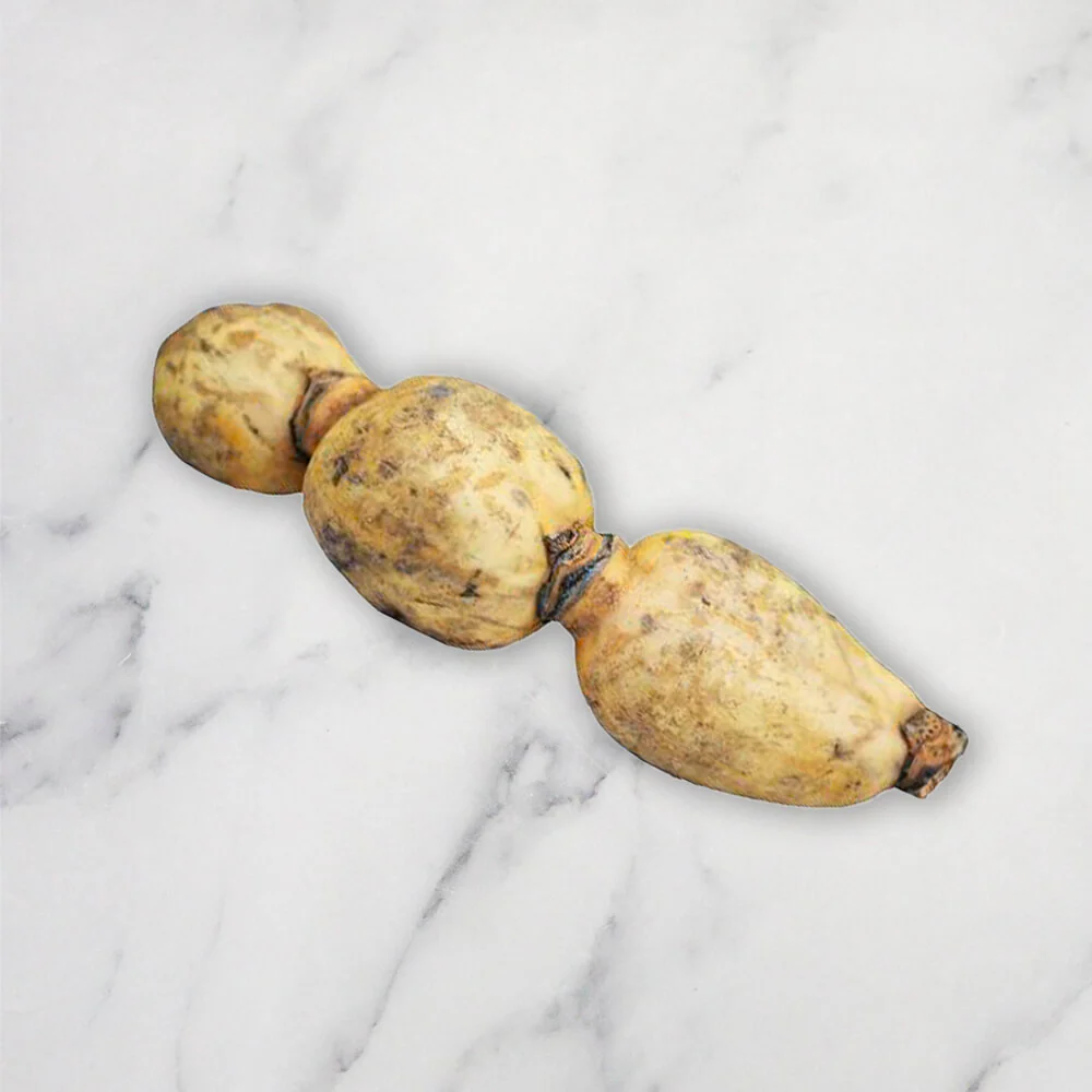 Lotus Root, 2-3 Links
