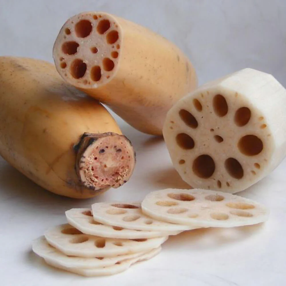 Lotus Root, 2-3 Links - Image 2