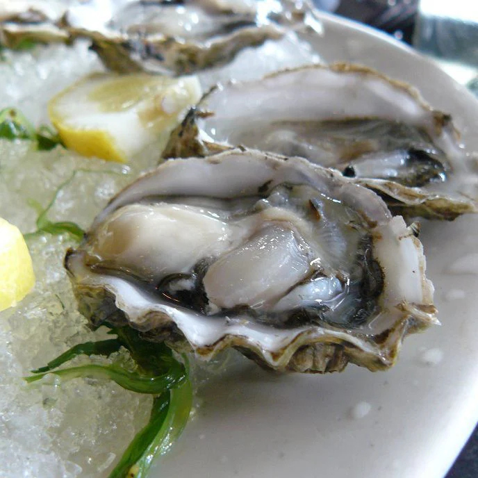 Maldon Oysters, Fresh, x 25 - Image 3