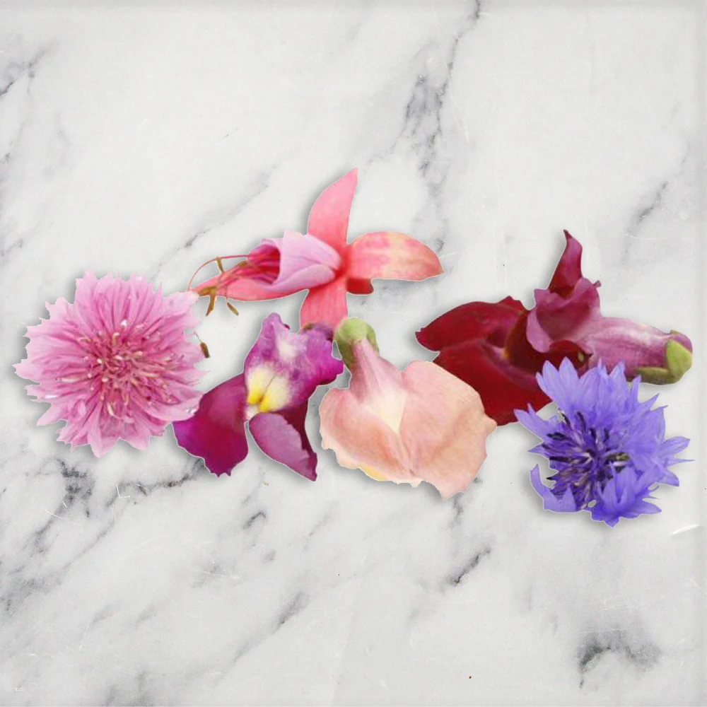 Edible Flower Seasonal Mix, 1 x Punnet - Image 5