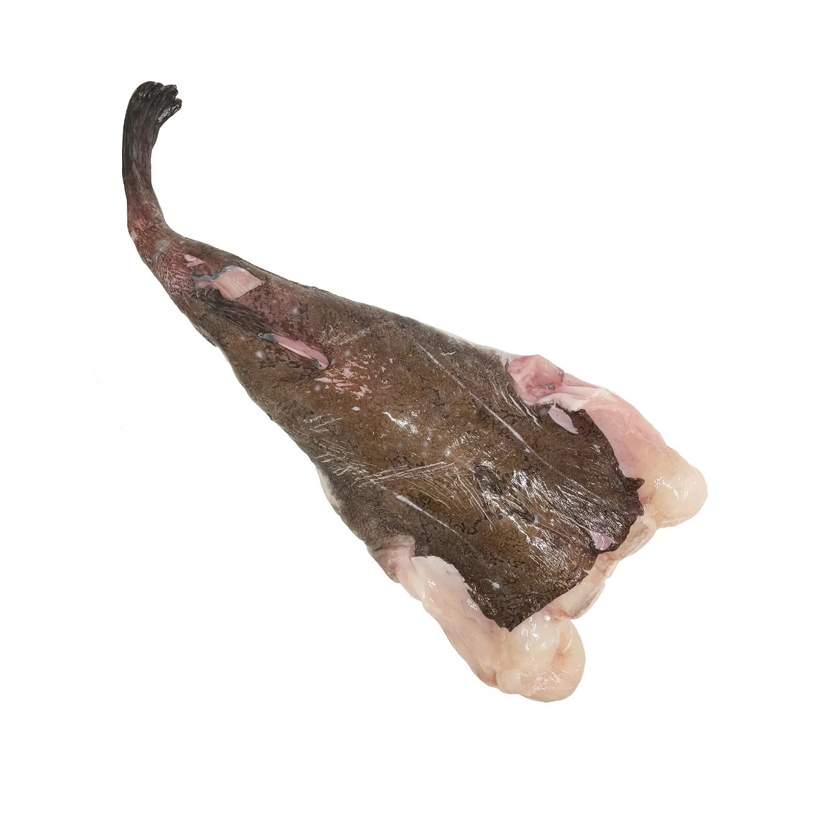 Wild Monkfish Tail, Fresh, 1-2kg - Image 2