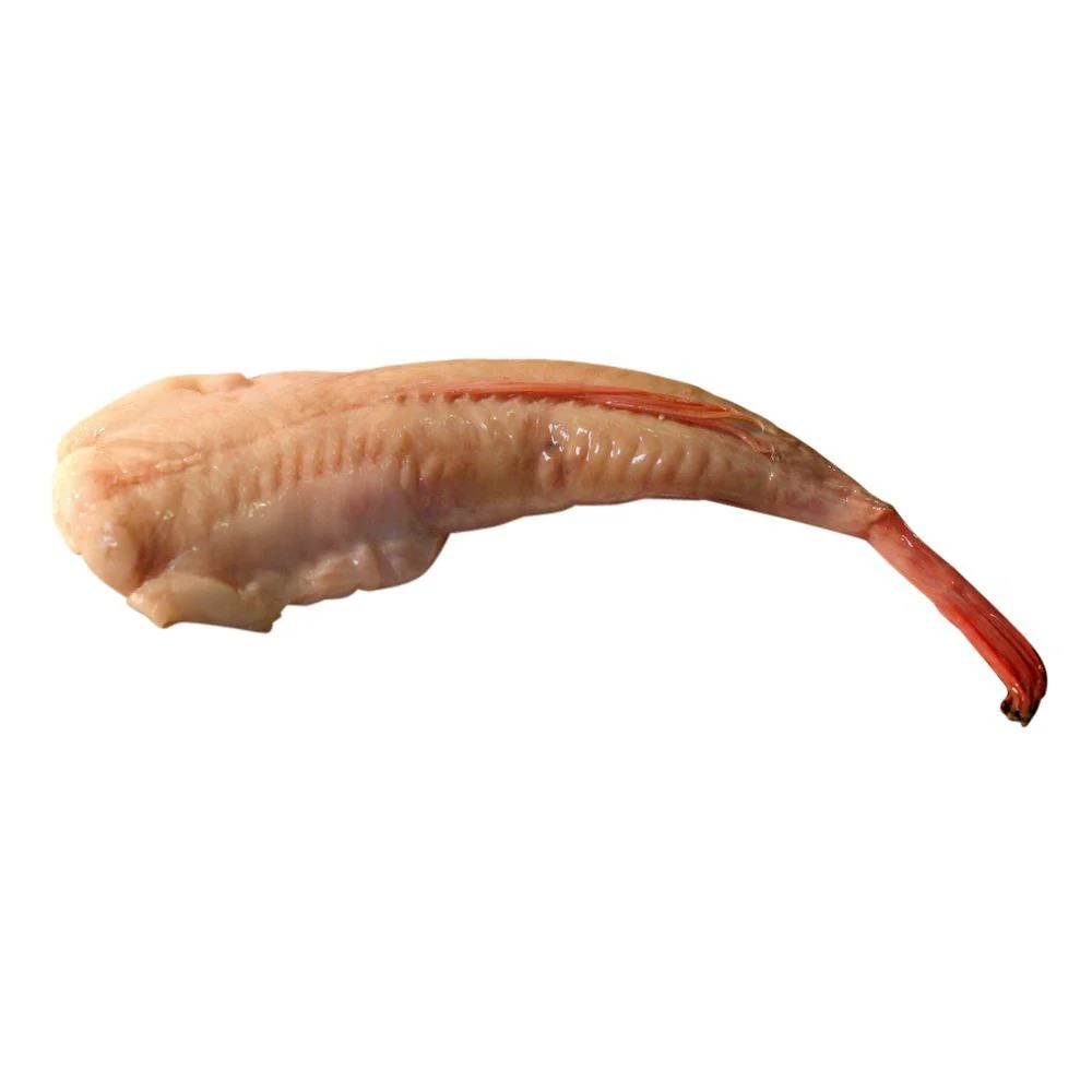 Wild Monkfish Tail, Fresh, 1-2kg - Image 3