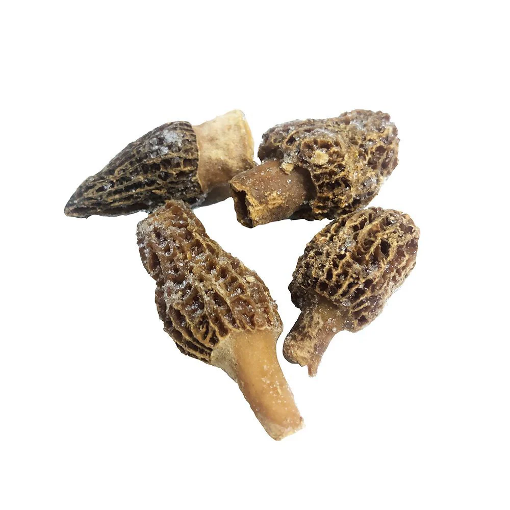 Morel Mushrooms, Frozen, (2-7cm), 1kg - Image 3