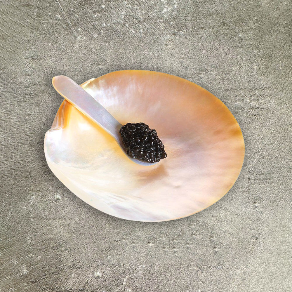 Mother of Pearl Caviar Plate, 3.5 inch - Image 3