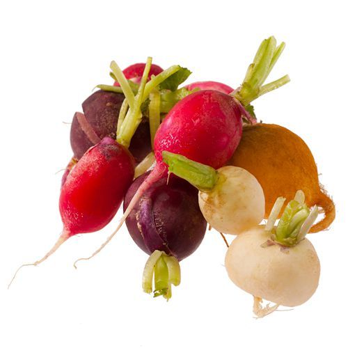 Rainbow Radishes, x 2 Bunches - Image 2