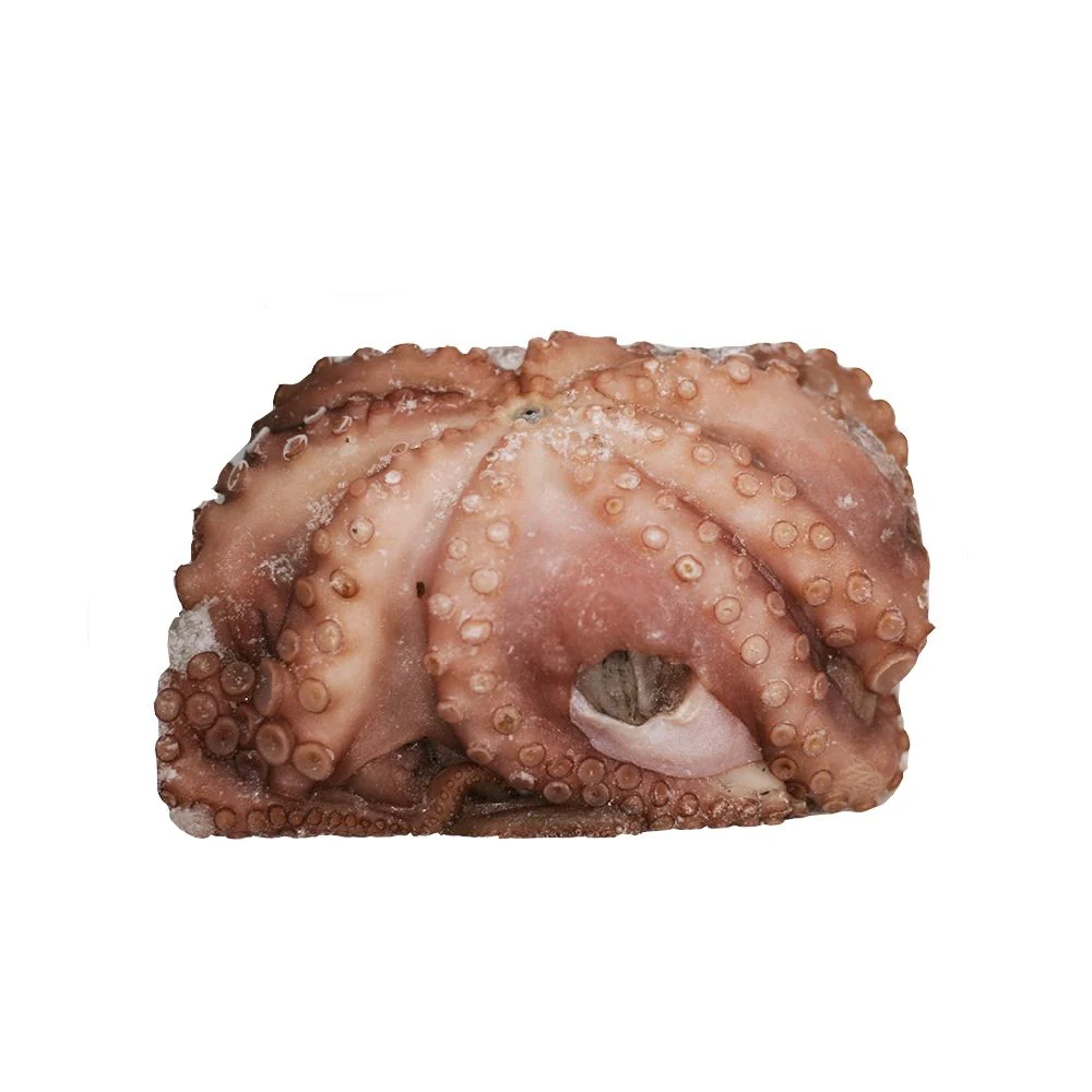 Spanish Octopus, Raw, Frozen, 1-2kg - Image 2