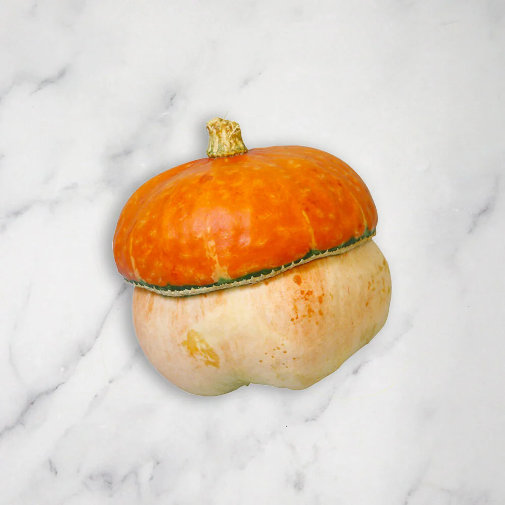 Ornamental Mixed Squash/Pumpkin, 3kg - Image 3