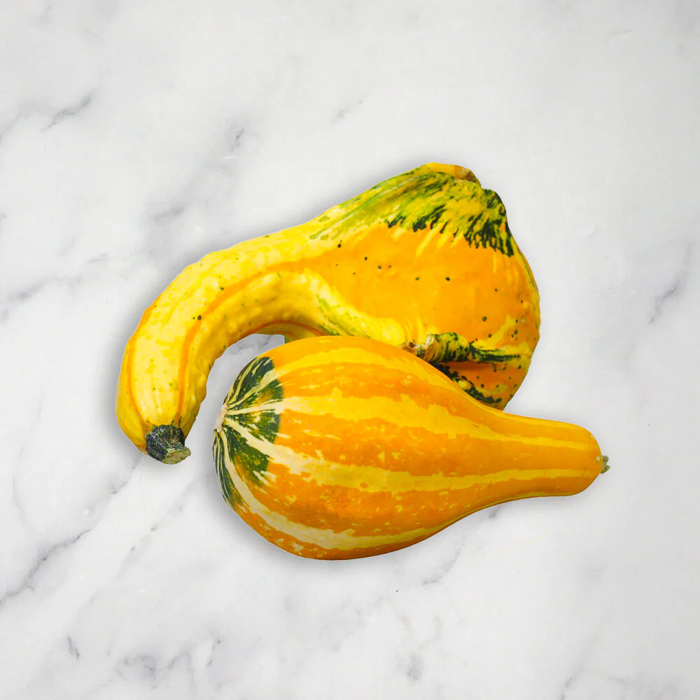 Ornamental Mixed Squash/Pumpkin, 3kg - Image 4