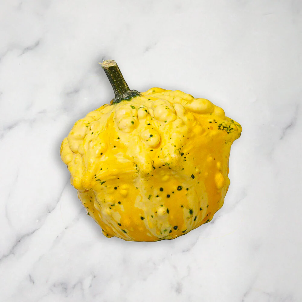 Ornamental Mixed Squash/Pumpkin, 3kg - Image 5
