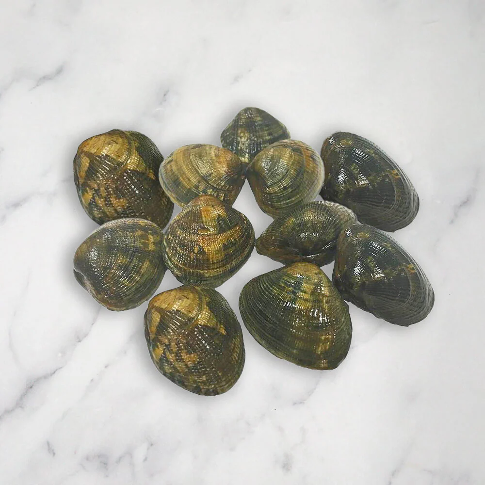 Palourde Clams, Fresh, 1kg