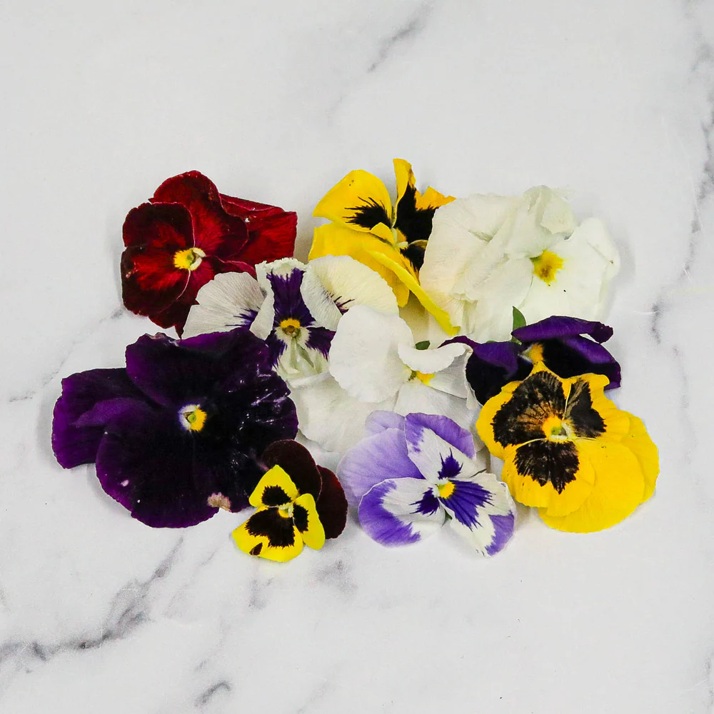 Pansy Flowers, x 1 Punnet - Image 2