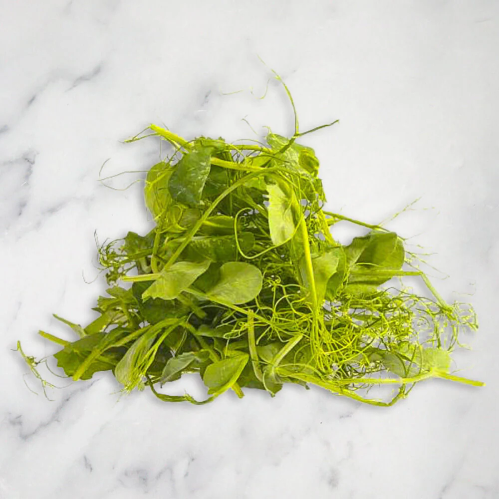 Micro Tendril Pea Shoots Punnet, 100g - Image 2