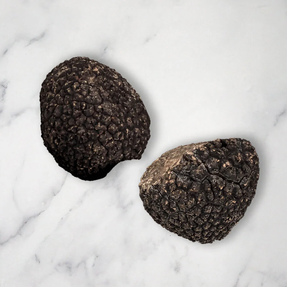 Perigord Black Truffle (Melanosporum), Fresh - Image 3