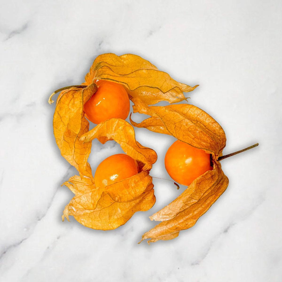 Physalis, +/-12 pcs, 100g